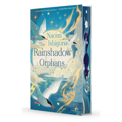 The Rainshadow Orphans: The Rainshadow Series, Book One
