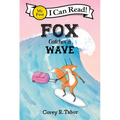 Fox Catches a Wave
