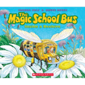 The Magic School Bus Inside a Beehive