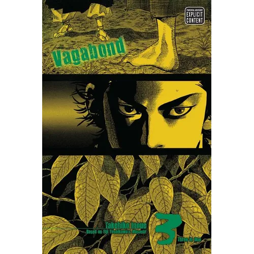 Vagabond (Vizbig Edition), Vol. 3: One with Heaven and Earth
