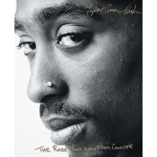 The Rose That Grew from Concrete