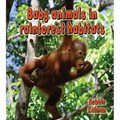 Baby Animals in Rainforest Habitats
