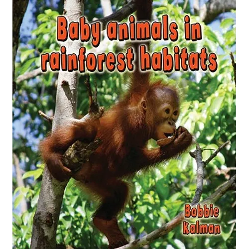 Baby Animals in Rainforest Habitats