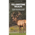 Yellowstone Wildlife: A Folding Pocket Guide to Familiar Animals of the Yellowstone Area