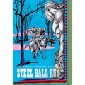 Jojo's Bizarre Adventure: Part 7--Steel Ball Run, Vol. 8