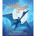 Night Flight