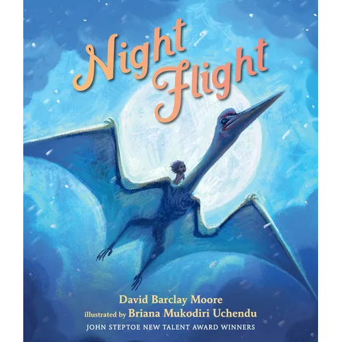Night Flight