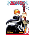 Bleach, Vol. 1: Strawberry and the Soul Reapers