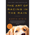 The Art of Racing in the Rain