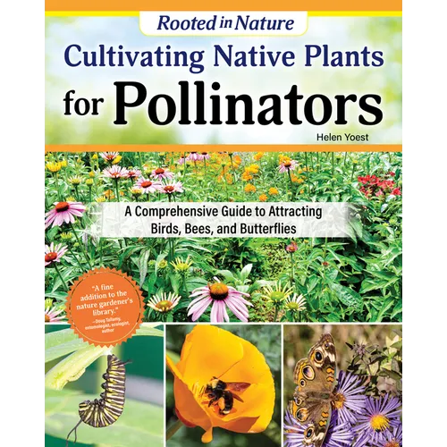 Cultivating Native Plants for Pollinators: A Comprehensive Guide to Attracting Birds, Bees, and Butterflies