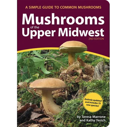 Mushrooms of the Upper Midwest: A Simple Guide to Common Mushrooms