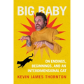 Big Baby: On Endings, Beginnings, and an Interdimensional Cat