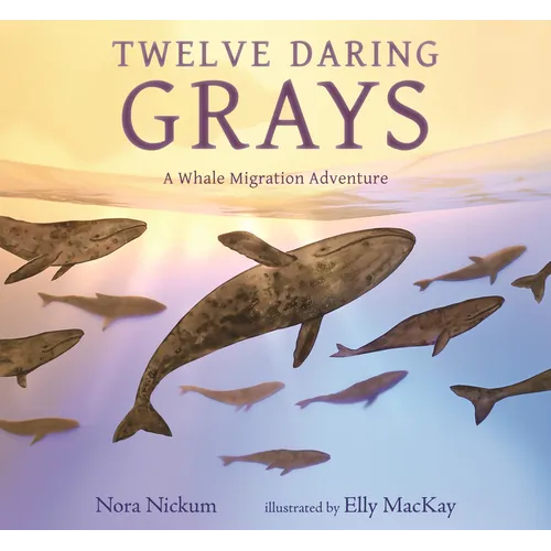 Twelve Daring Grays: A Whale Migration Adventure