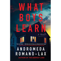 What Boys Learn