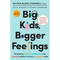 Big Kids, Bigger Feelings: Navigating Defiance, Meltdowns, and Anxiety to Raise Confident, Connected Kids