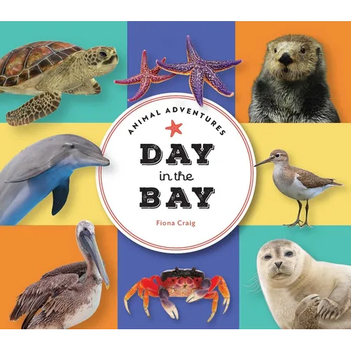 Animal Adventures: Day in the Bay