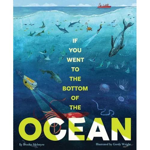 If You Went to the Bottom of the Ocean