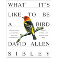 What It's Like to Be a Bird: From Flying to Nesting, Eating to Singing--What Birds Are Doing, and Why