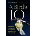 A Bird's IQ: Innovation, Intelligence, and Problem Solving in the Avian World