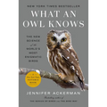 What an Owl Knows: The New Science of the World's Most Enigmatic Birds