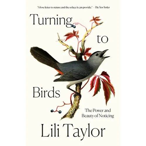 Turning to Birds: The Power and Beauty of Noticing