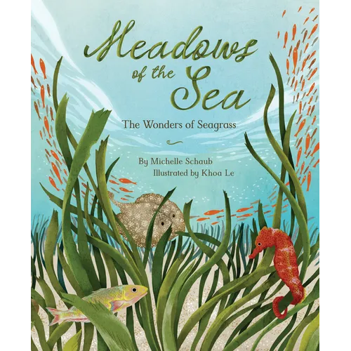 Meadows of the Sea: The Wonders of Seagrass