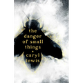The Danger of Small Things