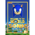Welcome to the World of Sonic: 35th Anniversary Edition
