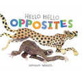Hello Hello Opposites