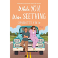 While You Were Seething