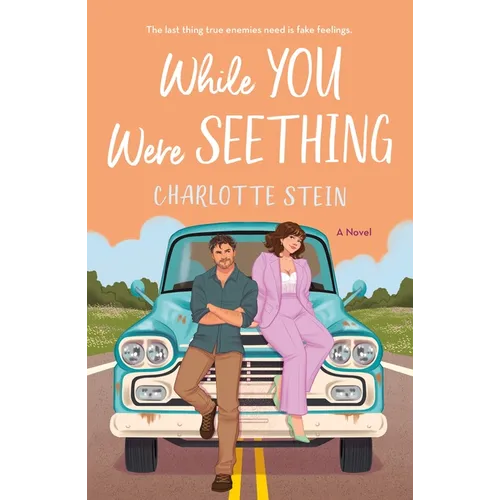While You Were Seething