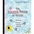 The Fourth Phase of Water: Beyond Solid, Liquid, and Vapor