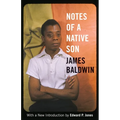 Notes of a Native Son
