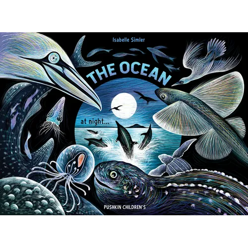 The Ocean at Night