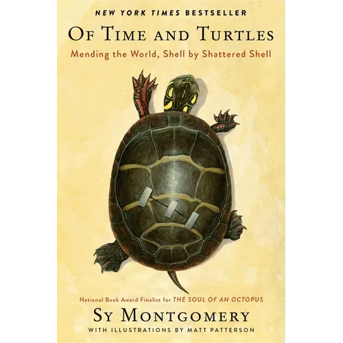 Of Time and Turtles: Mending the World, Shell by Shattered Shell