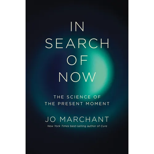 In Search of Now: The Science of the Present Moment