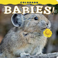 Colorado Babies!