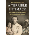 A Terrible Intimacy: Interracial Life in the Slaveholding South