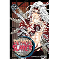 Demon Slayer: Kimetsu No Yaiba, Vol. 22: The Wheel of Fate