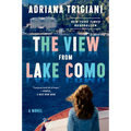 The View from Lake Como