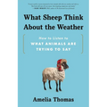 What Sheep Think about the Weather: How to Listen to What Animals Are Trying to Say
