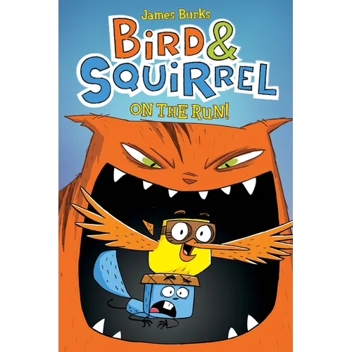 Bird & Squirrel on the Run!: A Graphic Novel (Bird & Squirrel #1)