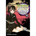Demon Slayer: Kimetsu No Yaiba, Vol. 18: Assaulted by Memories