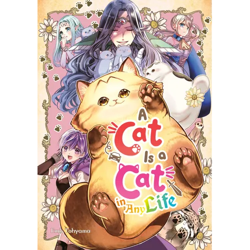 A Cat Is a Cat in Any Life