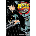 Demon Slayer: Kimetsu No Yaiba, Vol. 12: The Upper Ranks Gather