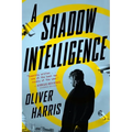 A Shadow Intelligence