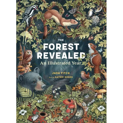 The Forest Revealed: An Illustrated Year