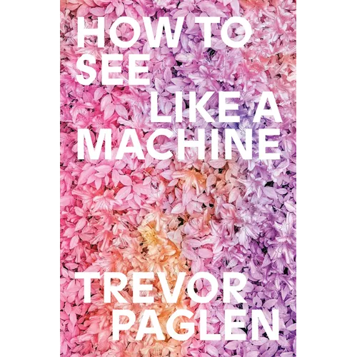 How to See Like a Machine: Images After AI