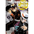 Demon Slayer: Kimetsu No Yaiba, Vol. 2: It Was You