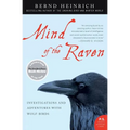 Mind of the Raven: Investigations and Adventures with Wolf-Birds